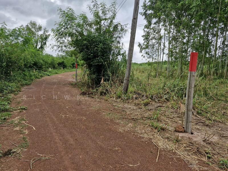 Land for sale in Ban Song, 32 rai, selling for only 275,200/rai, has a pond, suitable for farming,, Chachoengsao, Ban-Song, Phanom Sarakham, Chachoengsao, , 51,816 sqm, Land For Sale, by RICHWELL INTERPLUS, 11743632 - DDproperty.com