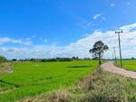 ขายที่ดินดงน้อย 7 ไร่ เป็นที่นาติดถนนคอนกรีต ใกล้ถนนเส้น3076 - 5.2 กม. อ.ราชสาสน์, ฉะเชิงเทรา