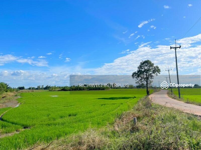 For Sale - Land for sale in Dong Noi, 7 rai, rice field next to concrete road, near road 3076 - 5.2 km.,, Chachoengsao