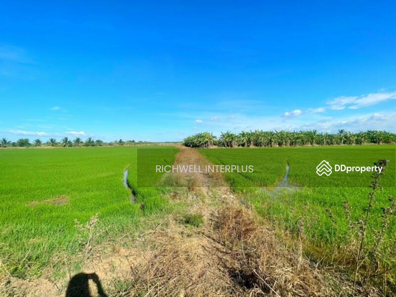 For Sale - Land for sale in Dong Noi, 7 rai, rice field next to concrete road, near road 3076 - 5.2 km.,, Chachoengsao