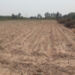 ขายที่ดินเกาะขนุนแหลมตะคร้อ 324 ตรว. หลังร.ร.แหลมตะคร้อ ใกล้ตลาดสดเกาะขนุน - 2.6 กม., ฉะเชิงเทรา