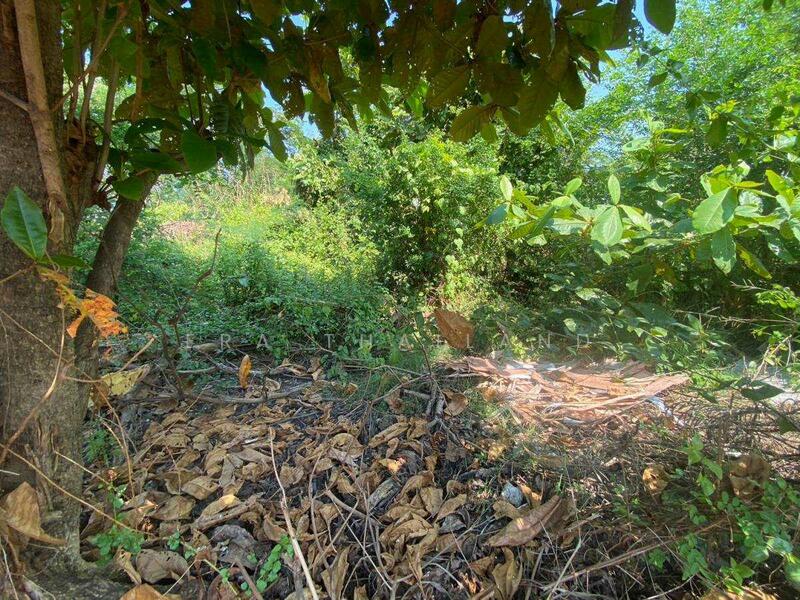 ขายที่ดิน พุทธมณฑลสาย 7 นครชัยศรี 1 งาน ใกล้ โลตัส สามพราน, Nakhon Pathom, Khun Kaeo, Nakhon Chai Sri, Nakhon Pathom, , 400 sqm, Land For Sale, by ERA Thailand, 11743788 - DDproperty.com