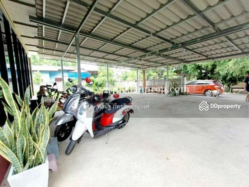 ขาย - ต.เหล่ายาว อ.บ้านโฮ่ง จ.ลำพูน, ลำพูน