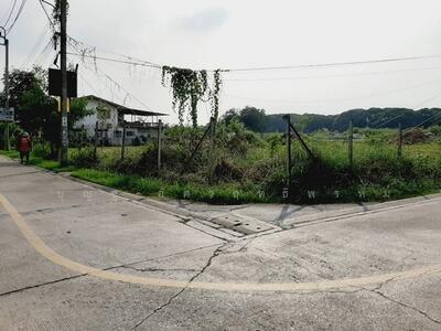 ขาย - ขายที่ดิน ถมแล้ว 6 ไร่ เพชรเกษม 77 แยก 1 ตรงข้ามหมู่บ้านพรหมศิริ, กรุงเทพ