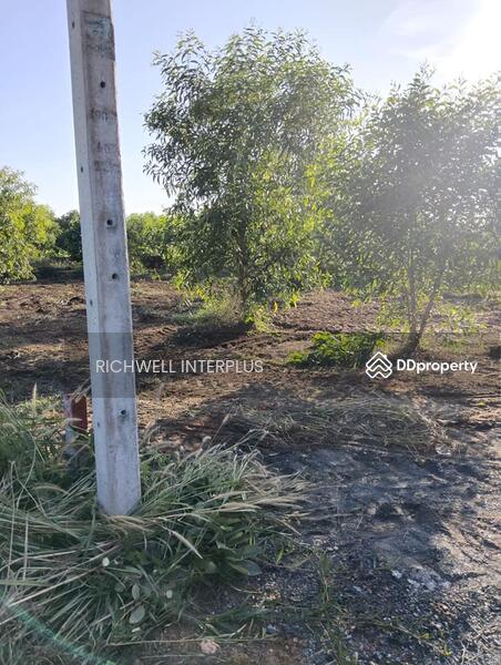 For Sale - Land for sale in Pak Nam, 150 sq.w., Soi Rat Uthit, near Road 3121, near Bang Khla Floating Market, Chachoengsao