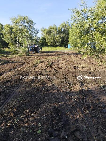 For Sale - Land for sale in Pak Nam, 150 sq.w., Soi Rat Uthit, near Road 3121, near Bang Khla Floating Market, Chachoengsao
