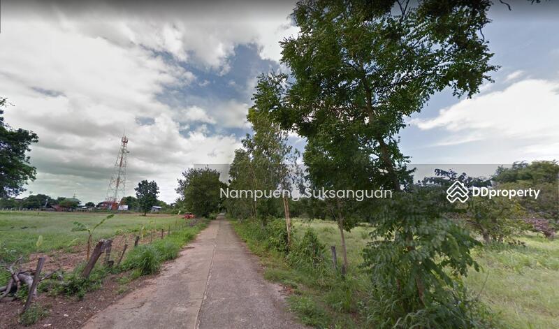 ขาย - ขายที่ดิน ต.บ้านโคก อ.โคกโพธิ์ไชย จ.ขอนแก่น, ขอนแก่น