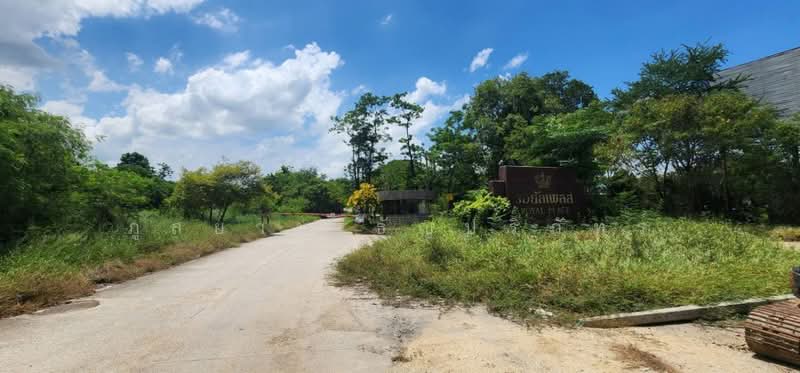 Royal Place, Samut Prakan, บางนา-ตราด กม.26, Bang Bo, Samut Prakan, , 1,316 sqm, Land For Sale, by ภูสยาม ธัญปริภัทร์, 11746760 - DDproperty.com