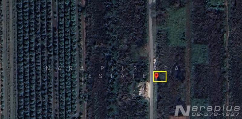 ขาย - รังสิต-นครนายก คลอง 8, ปทุมธานี