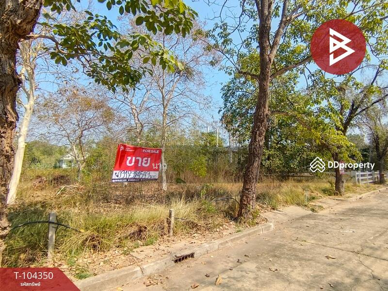 For Sale - ที่ดินบางปะอิน พระนครศรีอยุธยา, Phra Nakhon Si Ayutthaya