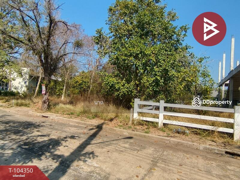For Sale - ที่ดินบางปะอิน พระนครศรีอยุธยา, Phra Nakhon Si Ayutthaya