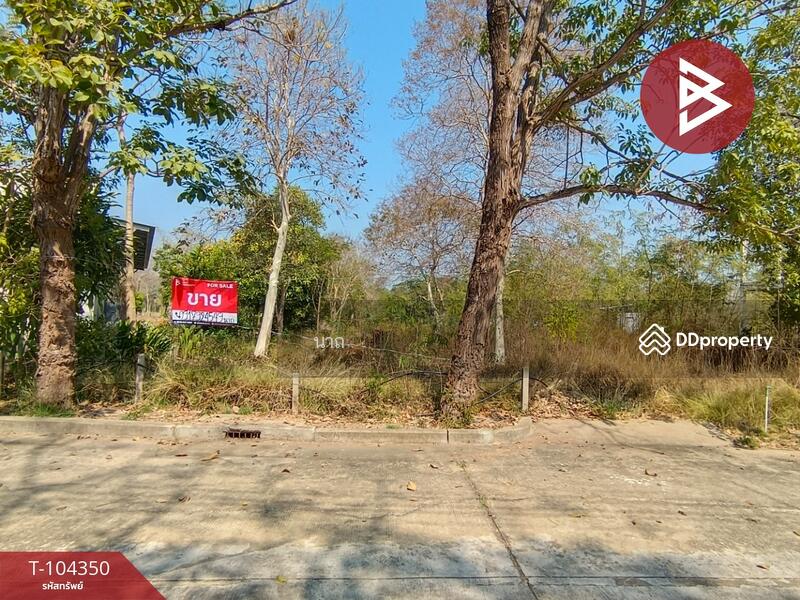 For Sale - ที่ดินบางปะอิน พระนครศรีอยุธยา, Phra Nakhon Si Ayutthaya