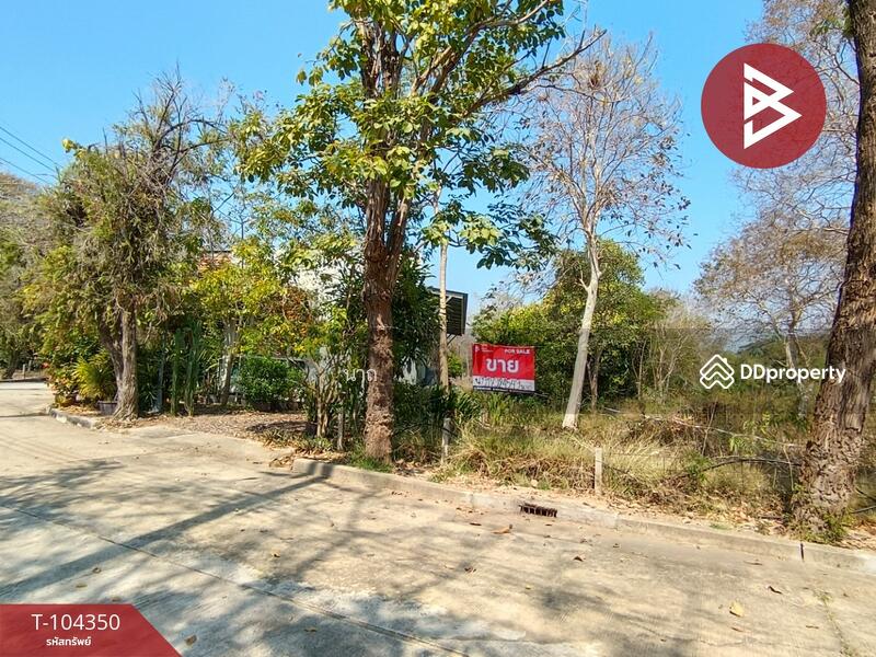 For Sale - ที่ดินบางปะอิน พระนครศรีอยุธยา, Phra Nakhon Si Ayutthaya