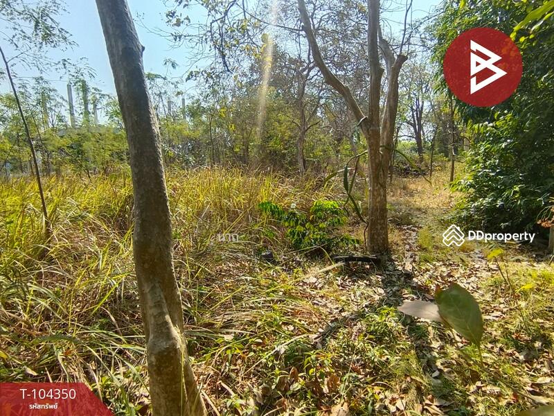 For Sale - ที่ดินบางปะอิน พระนครศรีอยุธยา, Phra Nakhon Si Ayutthaya