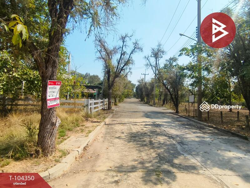 For Sale - ที่ดินบางปะอิน พระนครศรีอยุธยา, Phra Nakhon Si Ayutthaya