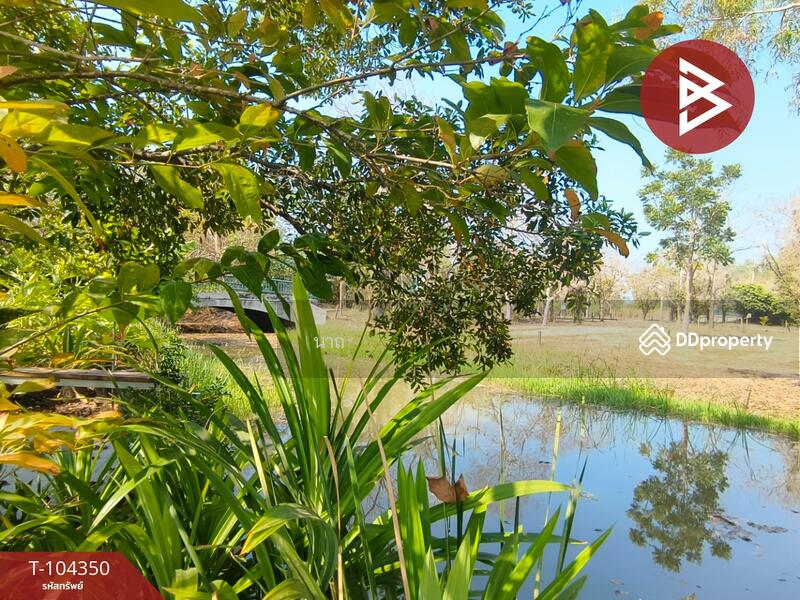 For Sale - ที่ดินบางปะอิน พระนครศรีอยุธยา, Phra Nakhon Si Ayutthaya