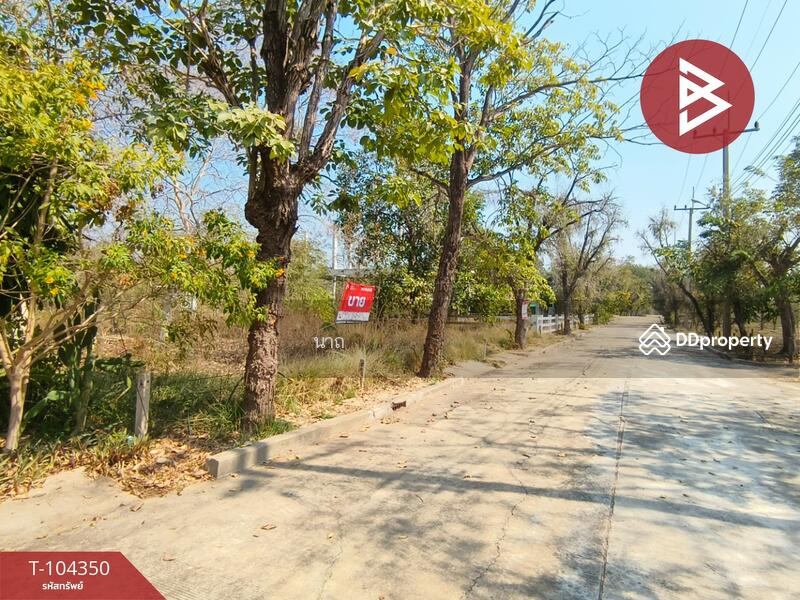 For Sale - ที่ดินบางปะอิน พระนครศรีอยุธยา, Phra Nakhon Si Ayutthaya