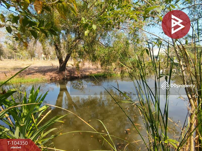 For Sale - ที่ดินบางปะอิน พระนครศรีอยุธยา, Phra Nakhon Si Ayutthaya