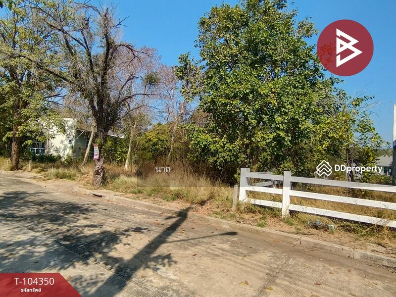 For Sale - ที่ดินบางปะอิน พระนครศรีอยุธยา, Phra Nakhon Si Ayutthaya