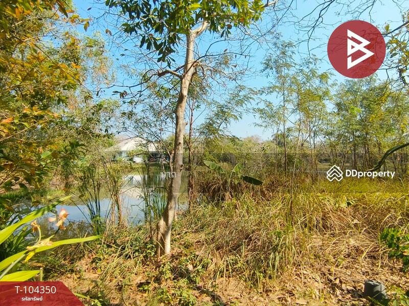 For Sale - ที่ดินบางปะอิน พระนครศรีอยุธยา, Phra Nakhon Si Ayutthaya