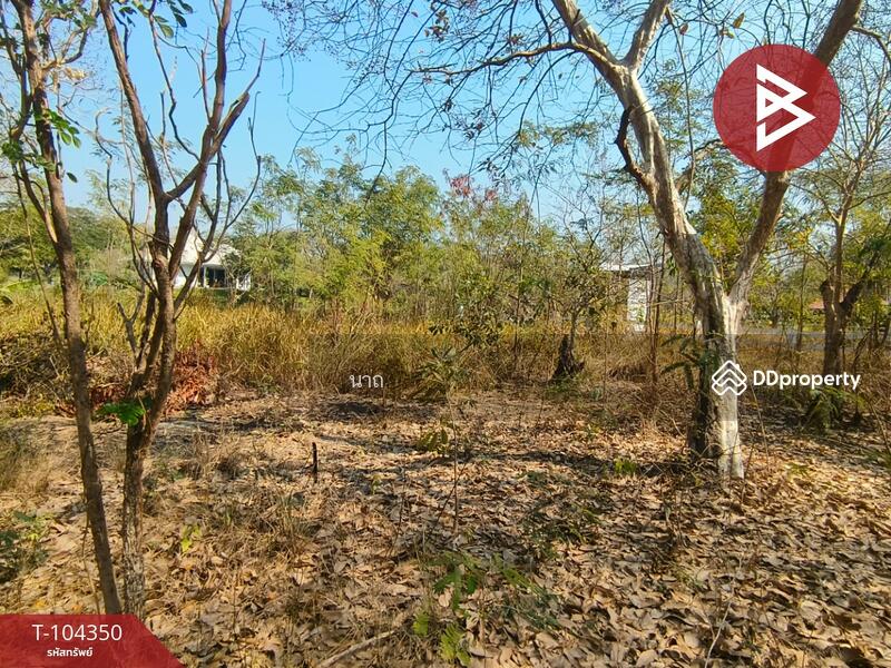 For Sale - ที่ดินบางปะอิน พระนครศรีอยุธยา, Phra Nakhon Si Ayutthaya
