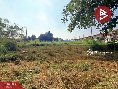 ขาย - ที่ดินหนองจอก กรุงเทพมหานคร, กรุงเทพ