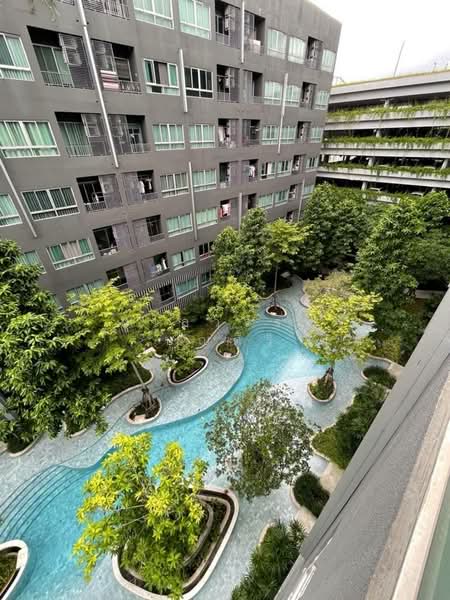 Elio Del Moss Phaholyothin 34, Bangkok, Soi Phahonyothin 34 Yaek 1, Sena Nikhom, Chatuchak, Bangkok, 1 Bedroom, 31 sqm, Condo For Rent, by Ulaiwan Boonsiri, 11747959 - DDproperty.com