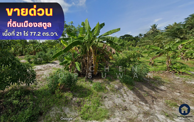 ขาย - ขายด่วนที่ดินคลองขุด เมืองสตูล เนื้อที่ 21 ไร่ 77.2 ตร.วา.ขายเพียงไร่ละ 1.5 ล้านบาท, สตูล