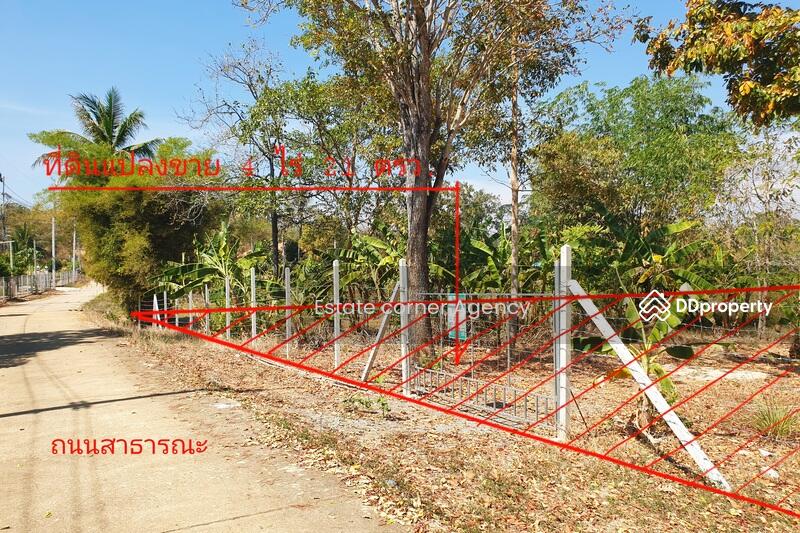 For Sale - ขายด่วนที่ดินแปลงสวยสวนเกษตร 4 ไร่ อ.หนองหญ้าปล้อง มีบ่อน้ำ ระบบปั๊มน้ำ-สปริงเกอร์ ให้พร้อมใช้งาน, Phetchaburi