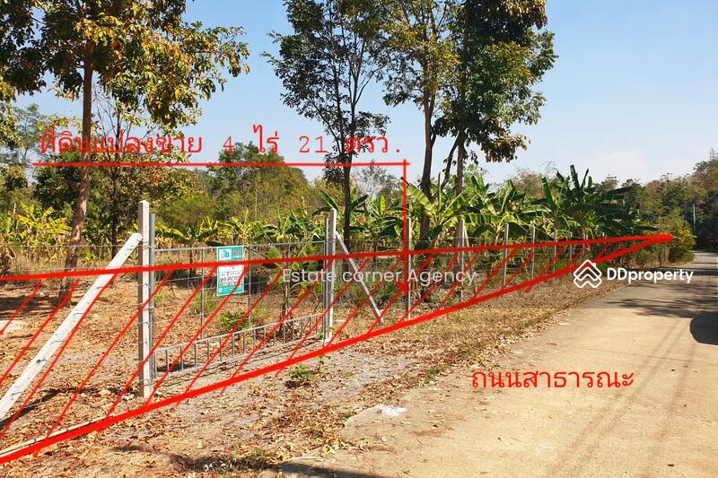 For Sale - ขายด่วนที่ดินแปลงสวยสวนเกษตร 4 ไร่ อ.หนองหญ้าปล้อง มีบ่อน้ำ ระบบปั๊มน้ำ-สปริงเกอร์ ให้พร้อมใช้งาน, Phetchaburi