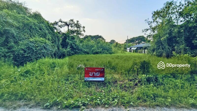ขาย - ที่ดินหางดง เชียงใหม่, เชียงใหม่