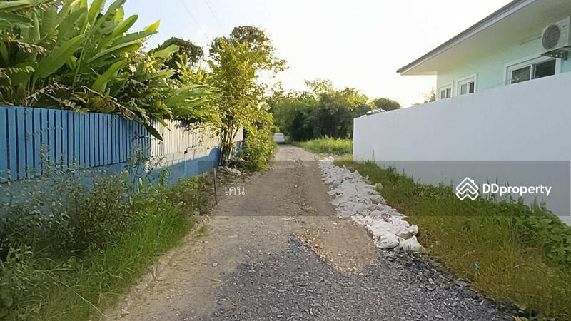 ขาย - ที่ดินหางดง เชียงใหม่, เชียงใหม่