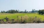 ที่ดินพรหมพิราม พิษณุโลก, พิษณุโลก