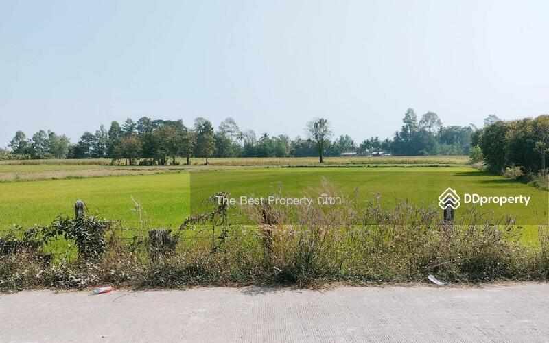 ขาย - ที่ดินพรหมพิราม พิษณุโลก, พิษณุโลก