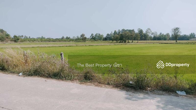 ขาย - ที่ดินพรหมพิราม พิษณุโลก, พิษณุโลก