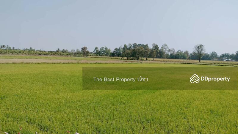 ขาย - ที่ดินพรหมพิราม พิษณุโลก, พิษณุโลก