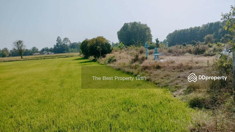 ขาย - ที่ดินพรหมพิราม พิษณุโลก, พิษณุโลก