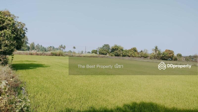 ขาย - ที่ดินพรหมพิราม พิษณุโลก, พิษณุโลก