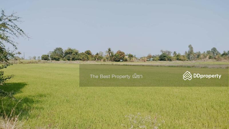 ขาย - ที่ดินพรหมพิราม พิษณุโลก, พิษณุโลก