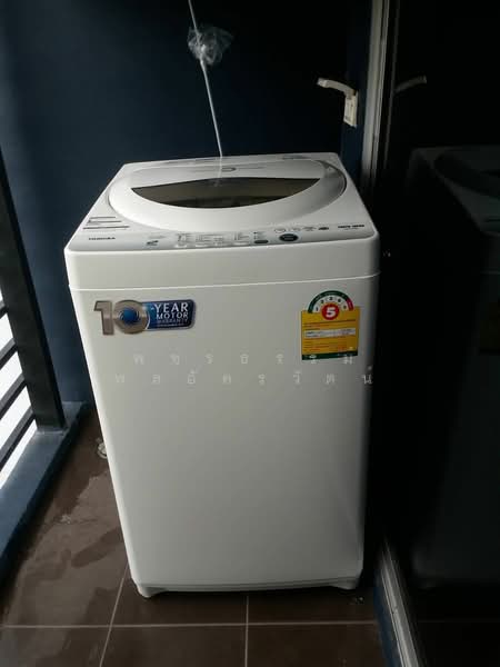 The Base Sukhumvit 77, Bangkok, 289 Sukhumvit 77 Road, Phra Kanong Nua, Watthana, Bangkok, 1 Bedroom, 31 sqm, Condo For Rent, by Rattapon Sivamok, 11750149 - DDproperty.com