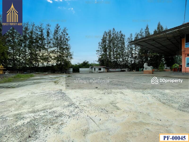 ขาย - พานทอง, ชลบุรี