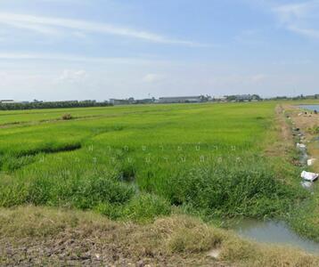 ขาย - ขายที่ดินสีม่วง 14ไร่ และมีสีเขียว 3ไร่ ถนนตลาดปองพล คลองเปรง ฉะเชิงเทรา ขายถูกมาก, ฉะเชิงเทรา