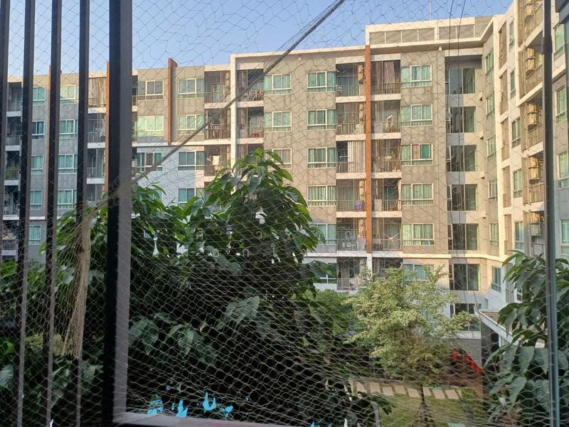 Hallmark Chaengwattana : ฮอลล์มาร์ค แจ้งวัฒนะ, นนทบุรี, ถนนแจ้งวัฒนะ, ปากเกร็ด, ปากเกร็ด, นนทบุรี, 34 ตร.ม., คอนโด ให้เช่า, โดย ศิริวรรณ เผือกใจแผ้ว, 11750722 - DDproperty.com