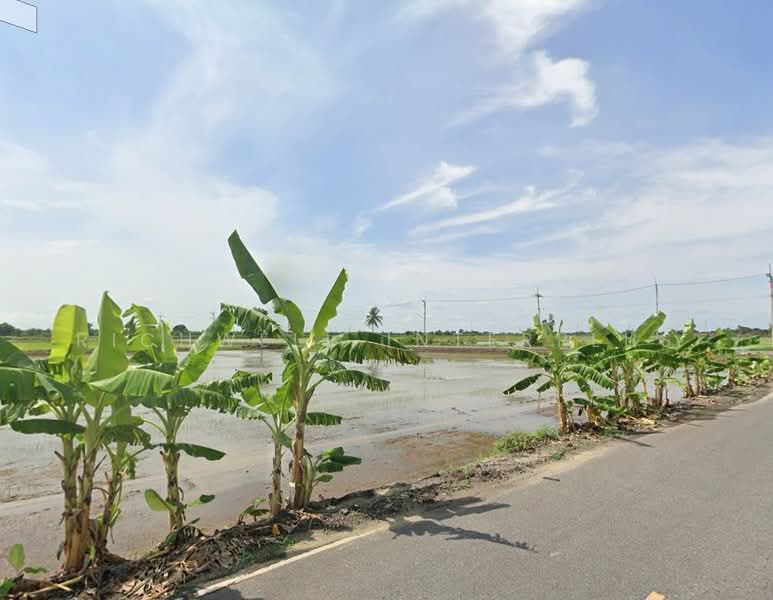 ขาย - ขายที่ดินก้อนแก้ว คลองเขื่อน 14 ไร่ หลังวัดดอนสนาม ใกล้ถนนเส้น3200, ฉะเชิงเทรา