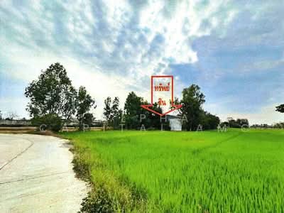 ขาย - ที่ดินพร้อมสิ่งปลูกสร้าง L4_7_0236_G01, พิจิตร