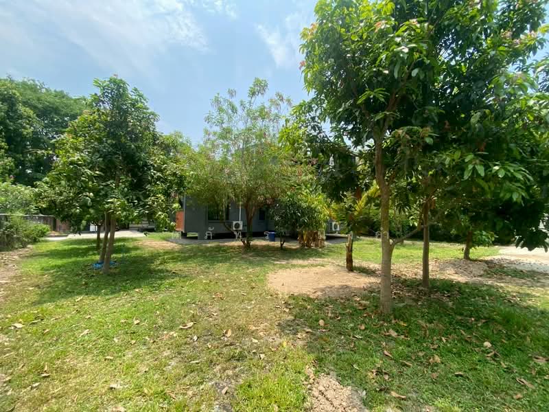 Changphueak, Chiang Mai, Chang Phuak, Muang Chiang Mai, Chiang Mai, 2 Bedrooms, 227 sqm, Single Detached House For Rent, by วุฒิภัทร มิ่งคำ, 11752141 - DDproperty.com