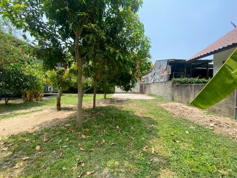 ต.ช้างเผือก, เชียงใหม่, ช้างเผือก, เมืองเชียงใหม่, เชียงใหม่, 227 ตร.ม., บ้านเดี่ยว ให้เช่า, โดย วุฒิภัทร มิ่งคำ, 11752141 - DDproperty.com