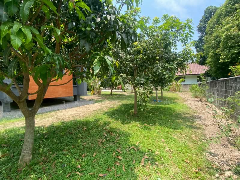 Changphueak, Chiang Mai, Chang Phuak, Muang Chiang Mai, Chiang Mai, 2 Bedrooms, 227 sqm, Single Detached House For Rent, by วุฒิภัทร มิ่งคำ, 11752141 - DDproperty.com