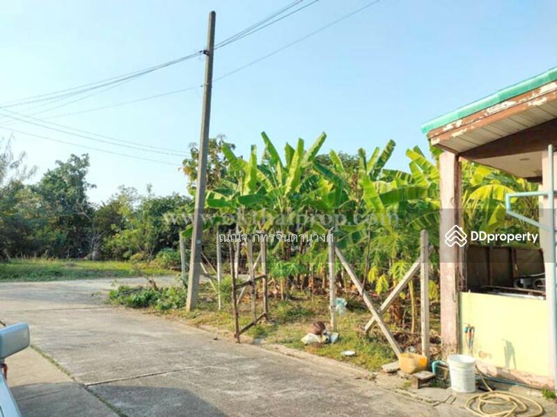 ขาย - ถ.พุทธมณฑลสาย7 ต.คลองใหม่ อ.สามพราน จ.นครปฐม, นครปฐม