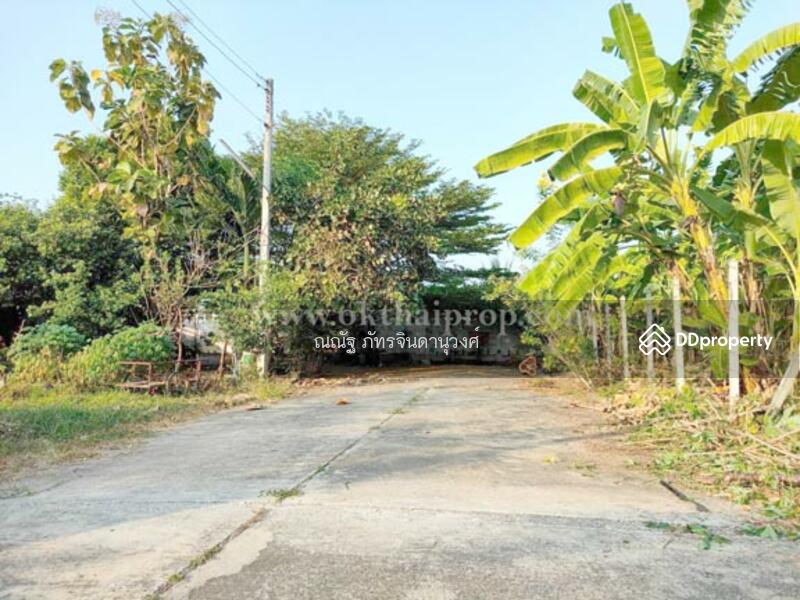 ขาย - ถ.พุทธมณฑลสาย7 ต.คลองใหม่ อ.สามพราน จ.นครปฐม, นครปฐม